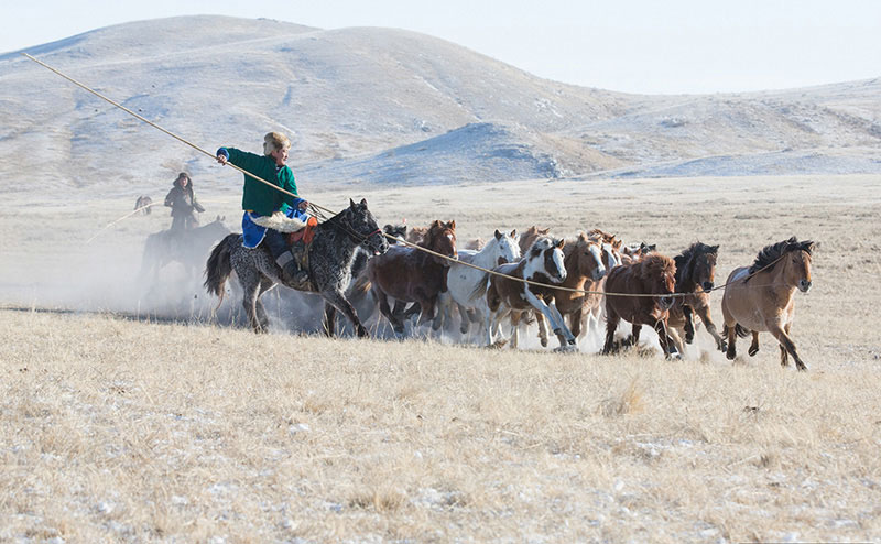 mongolia horse culture 